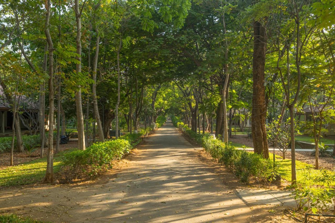 โรงแรมเดอะ เฮอริเทจ มาดูไร มทุราย ภายนอก รูปภาพ A road in the park